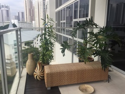 Sky@Eleven (D11), Condominium #202025792